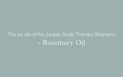 The six oils of the Juniper Scalp Therapy Shampoo – ROSEMARY OIL