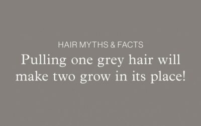 Hair Myths & Facts – Pulling one grey hair will make two grow in its place!