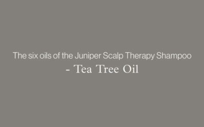 The six oils of the Juniper Scalp Therapy Shampoo – TEA TREE OIL