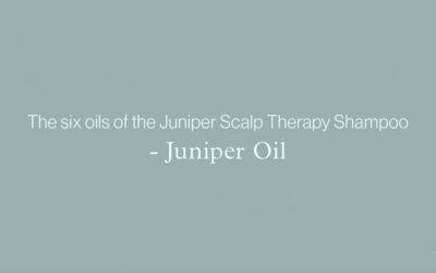 The six oils of the Juniper Scalp Therapy Shampoo – JUNIPER OIL