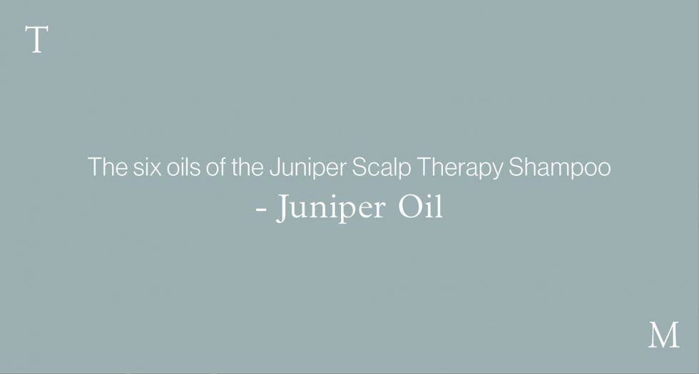 The six oils of the Juniper Scalp Therapy Shampoo – JUNIPER OIL