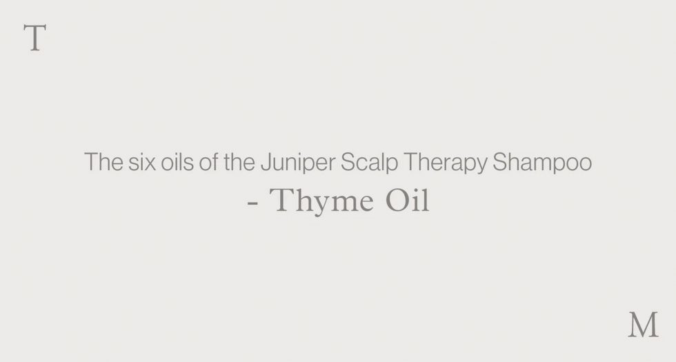 The six oils of the Juniper Scalp Therapy Shampoo – THYME OIL