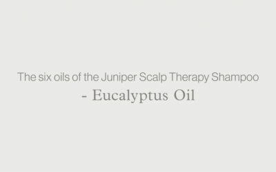 Juniper Scalp Therapy Shampoo – EUCALYPTUS OIL