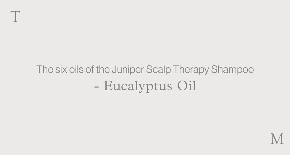 Juniper Scalp Therapy Shampoo – EUCALYPTUS OIL