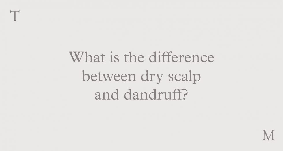 What is the difference between dry scalp and dandruff?